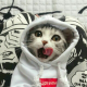用户列表